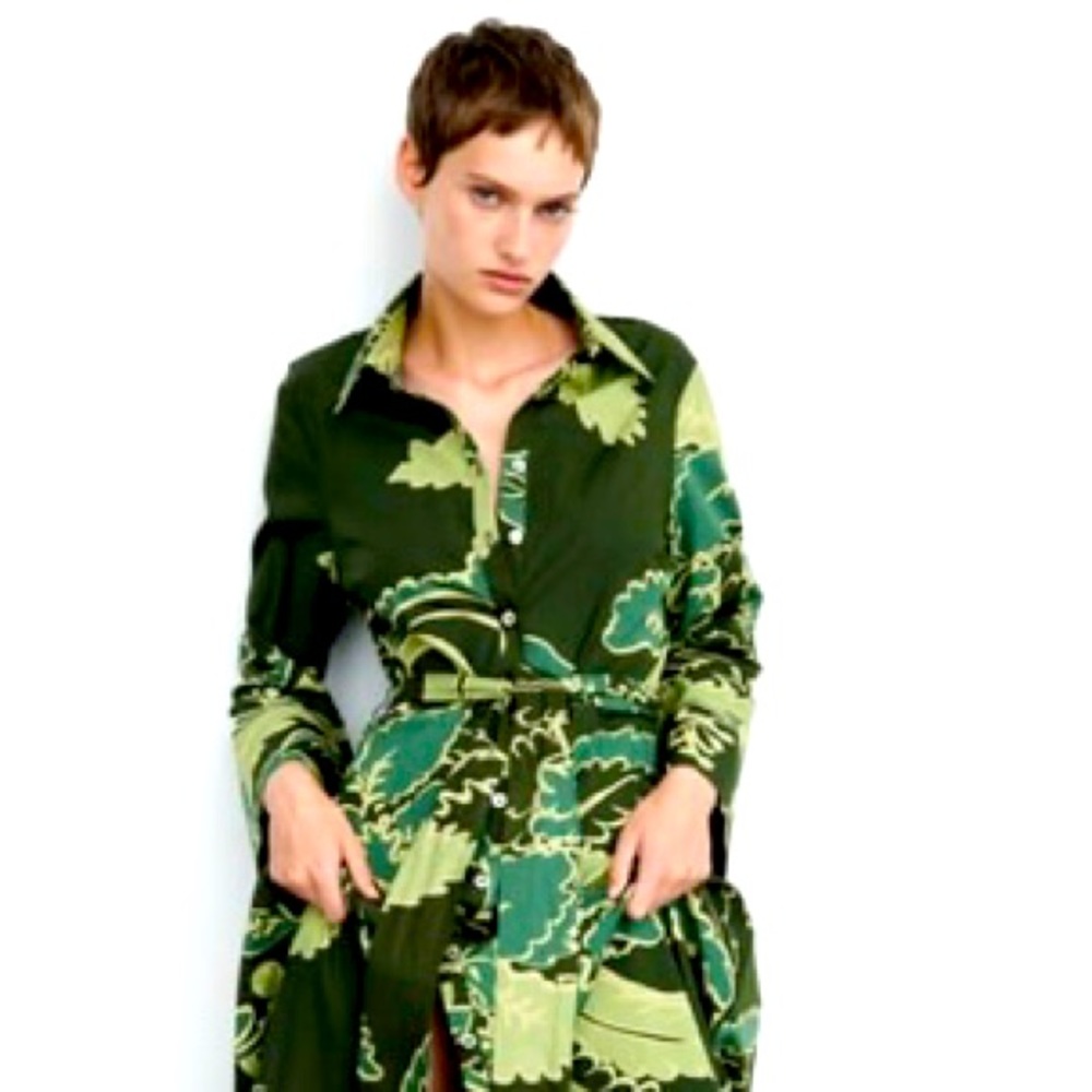 Belted Printed Dress